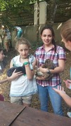00ea7e2503a8f93a5489bb6076361158f6f5cf60_thumbnail