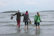 18915d4db1568bdc0c71e8f1733fccb55efbdd31_thumbnail