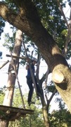 2a485f44ad8e1abbbcf088f84ca188483b9d5e43_thumbnail