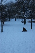 2e409df48e5a3e3bef0351aa4026ffe211b8bc0b_thumbnail