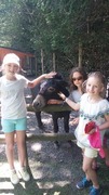310fb2f559669c8d106bb9ac55f4b37fc15dc601_thumbnail
