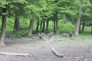 40d580eec1ef8134845322b162ca61cdbee5b78d_thumbnail