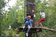 C805219f02d5acbc4a2b95b310ab195389570c65_thumbnail